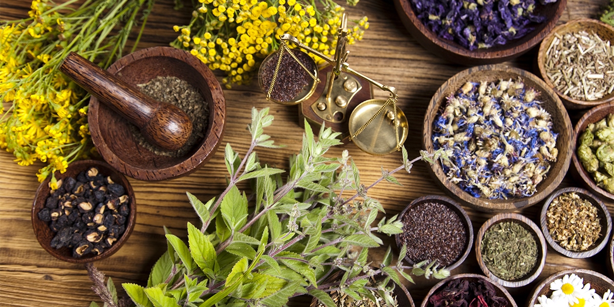 Výběr bylinných a rostlinných příchutí