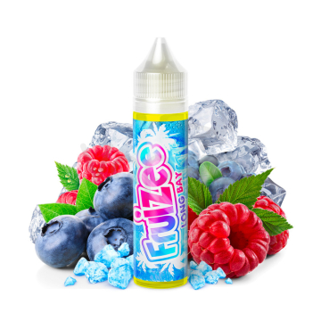 Fruizee - Ľadové čučoriedky, maliny (Long Bay) - Shake and Vape